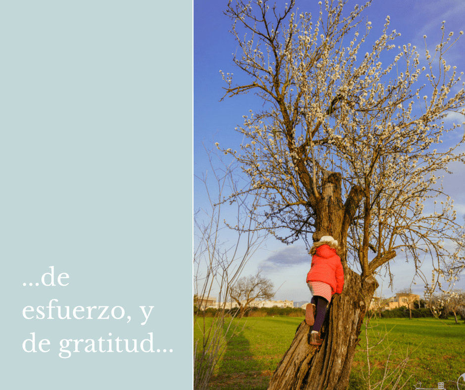 wellgiveyouaclueatthestrokeof 1